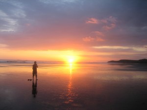 Mario Ballena National Park (Pacific Coast)